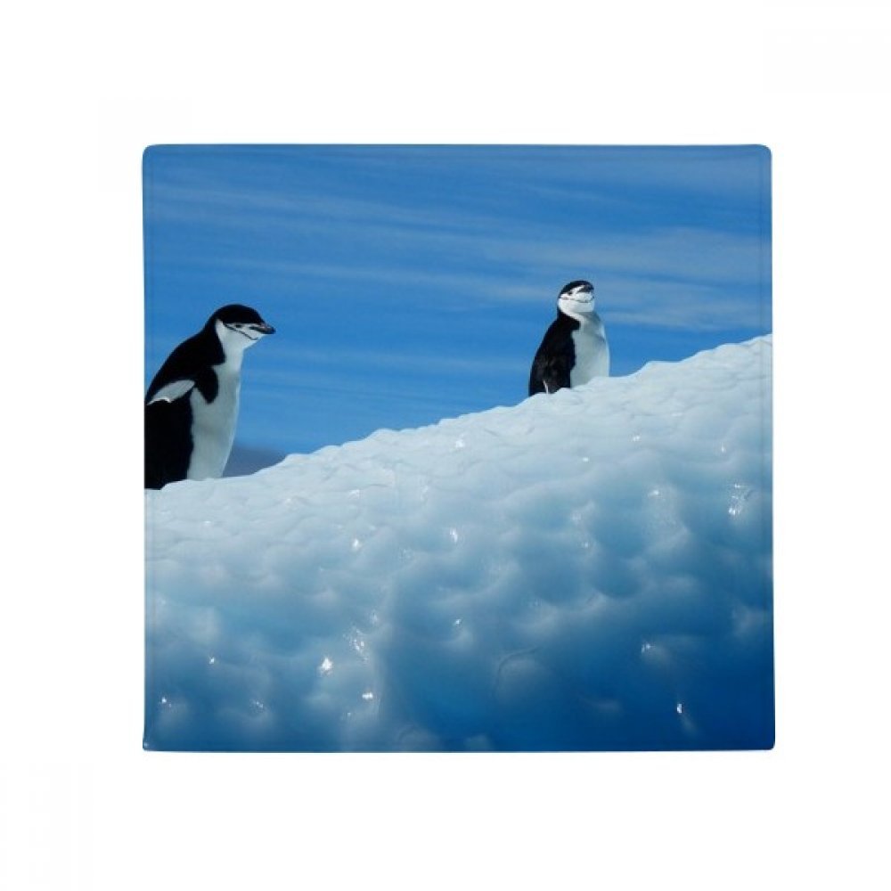 Tapis pingouins de l'Antarctique multicolore, cadeau idéal science nature
