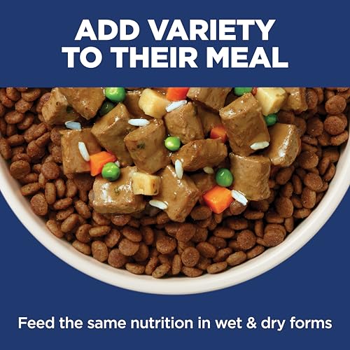 Hill's Science Diet Sensitive Stomach & Skin Dry Dog Food - image 8