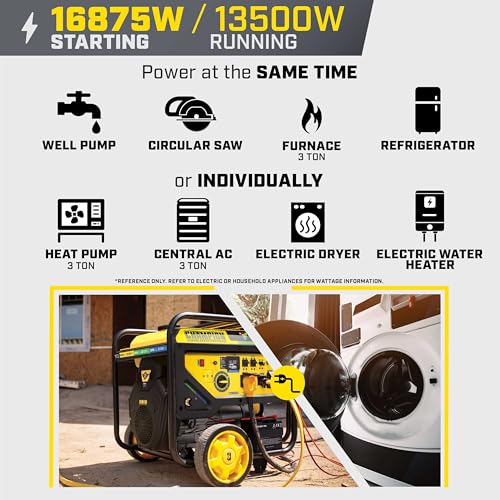 Image of Champion 16,875-Watt Electric Start Tri Fuel Home Backup Portable Generator