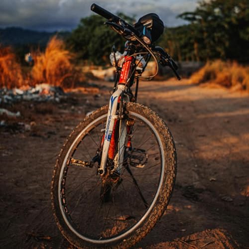 Breaking the Cycle Podcast Por  arte de portada