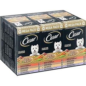 Cesar Megapack Landragout Nourriture Humide pour Chien dans Un Bol – 4 variétés en lot – 24 x 150 g