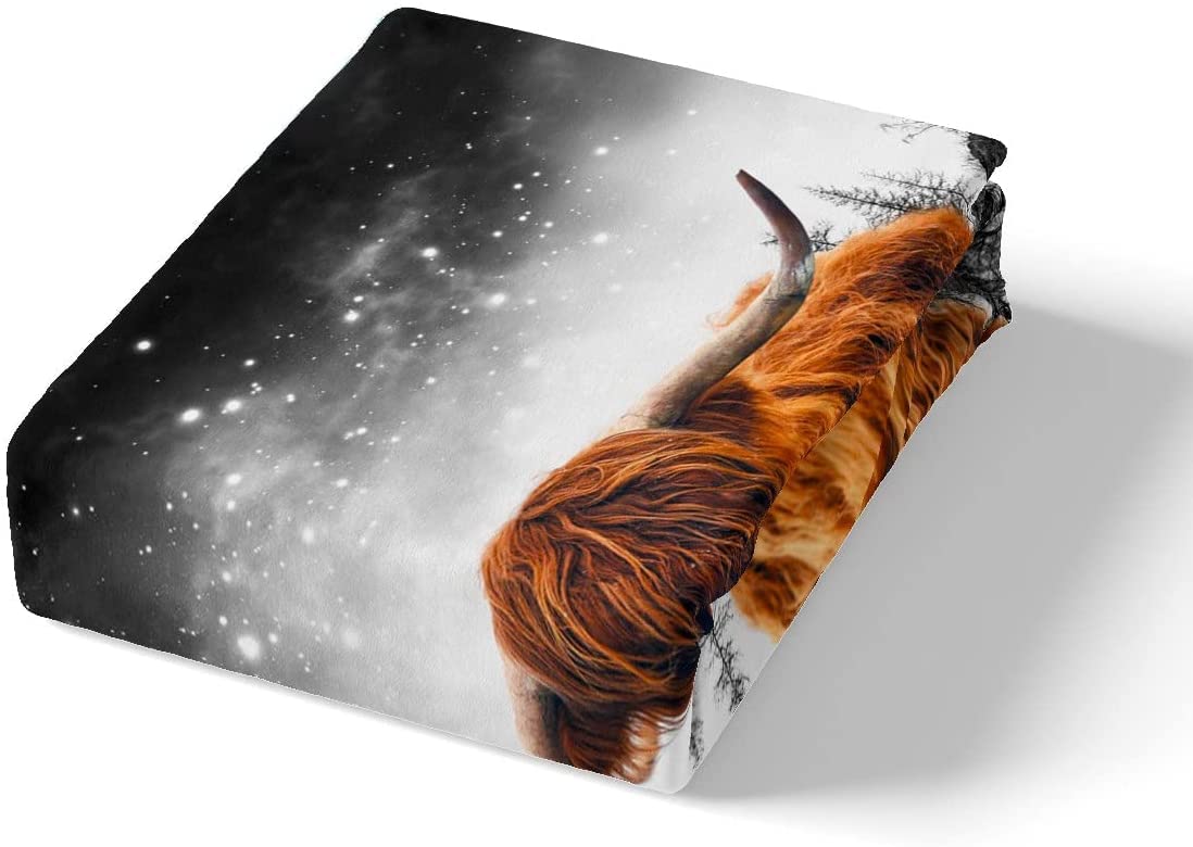 Highland Cow Bed Set Highland Cattle Bed Sheets for Kids Boys Girls Farm Animal Sheet Set Soft Durable Bedding Sheets Single Size - Image 4