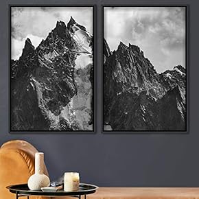 signwin 2 Piece Framed Canvas Wall Art Black...
