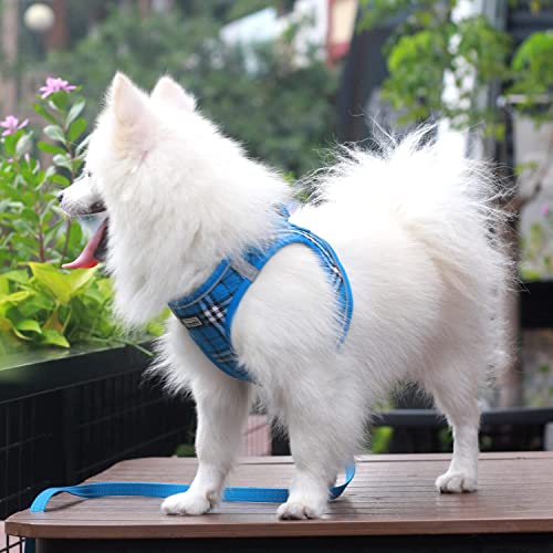 Suredoo Hundegeschirr Kleine Hunde mit Leine, Anti Zug Geschirr Reflektierend Atmungsaktiv Brustgeschirr, Welpengeschirr für Kleine Hunde (Blau Kariert, M, Brust: 34-39cm)