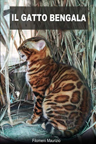  IL GATTO BENGALA