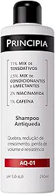SHAMPOO ANTIQUEDA PRINCIPIA