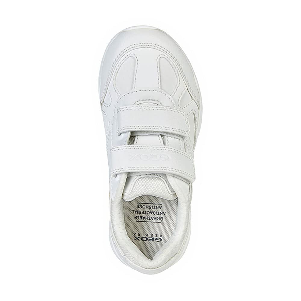 Geox J Pavel C, Zapatillas Hombre