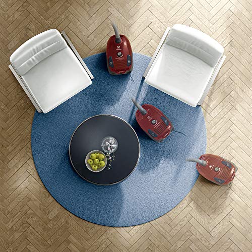 Electrolux EPF6ANIMAL PowerForce