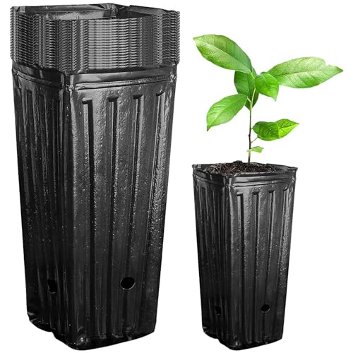 Macetas altas para árboles – 20 unidades de macetas de árboles profundos para habitación de los niños – Macetas de flores y plantas | Macetas altas para plántulas, plantas suculentas, macetas grandes
