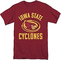 Vista 17 de LOGOVISION Official Collegiate Large Distressed Logo Short Sleeve Unisex for Men & Women Cotton T Shirt Collection 1 Universidad de Ashland