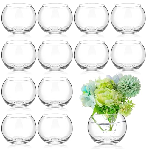 12 Pcs Glass Bubble Bowl Vase Bulk, Clear Round Glass