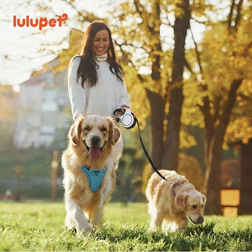 Lulupet No-Pull Dog Harness & Leash Set (Blue, Medium) — view 6