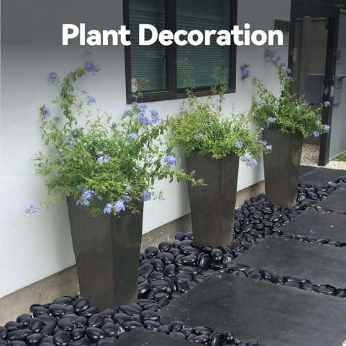 Image of Pulovin 20 lbs Black Stones for Plants Indoor, 2-3 Inch Decorative River Rocks for Plants, Flower Pots, Vase, Polished Garden Stones for Outdoor Landscaping, Walkways, Yard