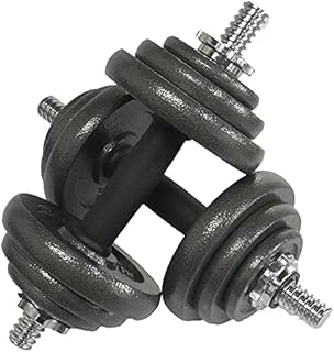 Gym Master 20kg Pair of Dumbbells with Cast Iron Weights and Carry Case Set