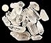 1 Pound of Natural Brazilian Quartz Crystal Points - Healing Reiki Wholesale