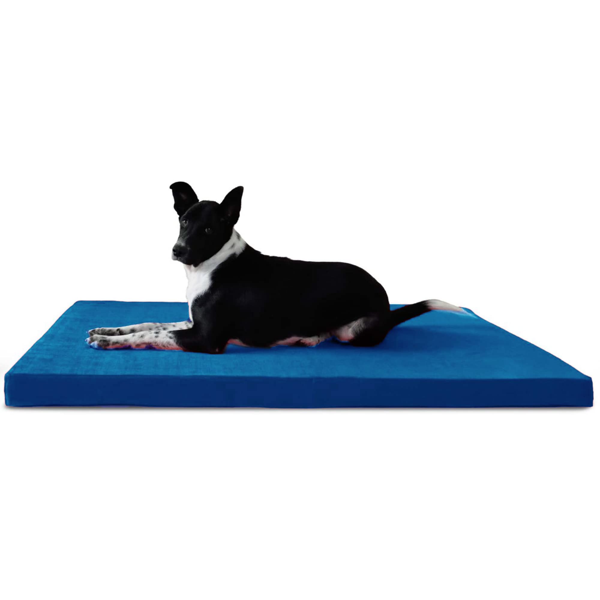 EXQUIZIT HOME® Waterproof Mattress For Dogs Cage Crate Mat Pet Dog Cat Bed Pad Washable, Soft, Durable, Anti-Slip, Comfortable & Luxury (XL, Blue)