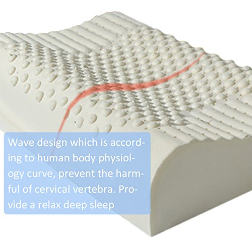 Eonshine 100% Eco-Friendly Natural Hypoallergenic Ventilated Latex Foam Bed Pillows, Pack Of 1 (Pillow Core) #TOP5