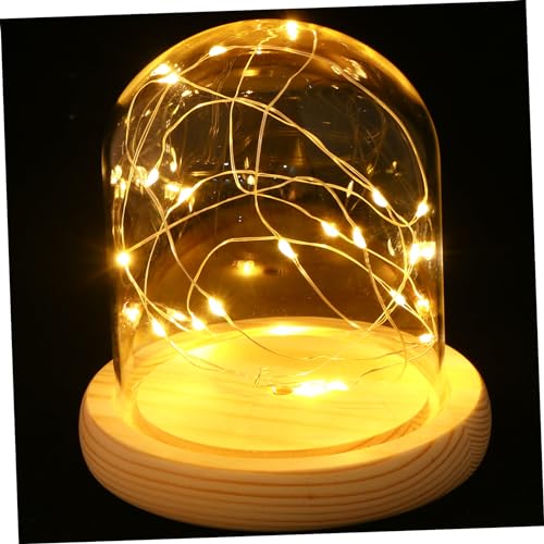 DOITOOL Glass Dome Led Lamp Creative Star Design Night Light for Boys and Girls Home Decor