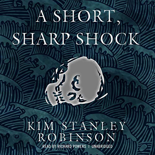 A Short, Sharp Shock view 2