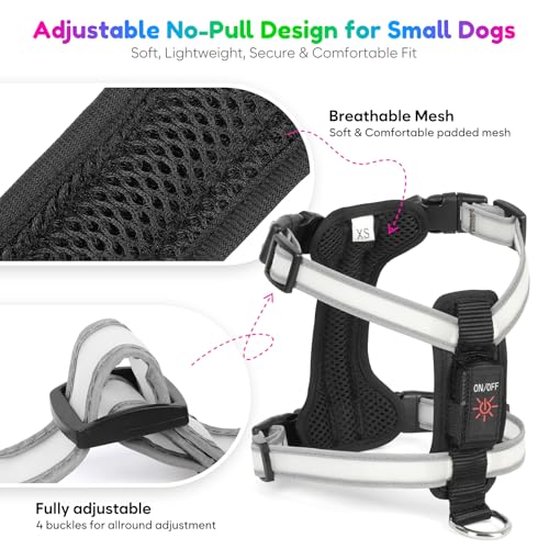 Mehrfarbiges LED Hundegeschirr für Kleine Hunde, USB-C Wiederaufladbar mit Batterieanzeige, Leuchtendes Reflektierendes Hundegeschirr, Verstellbares Anti-Zug Geschirr für Nachtsicherheit