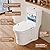 DeerValley One Piece Toilet, Elongated Toilet for Bathroom with 17.24" Comfortable Chair Seat Height, Dual Flush 0.8/1.28 GPF and MAP 1000g,12" Rough-In Modern Toilet Bowl