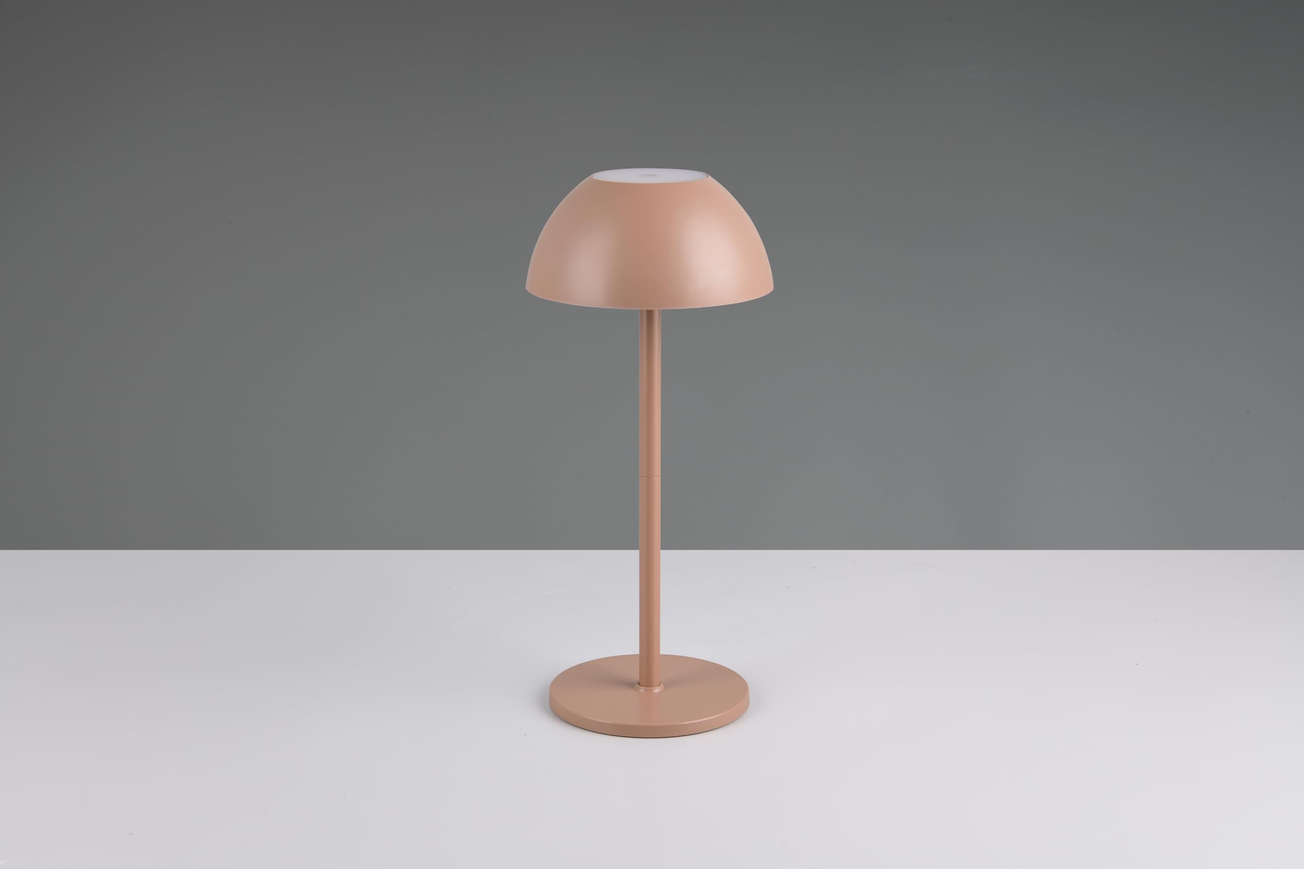 Reality Leuchten Ricardo R54106165 - Lampada da tavolo a LED per esterni, in plastica, con LED da 1,7 Watt, 4 ingressi touch
