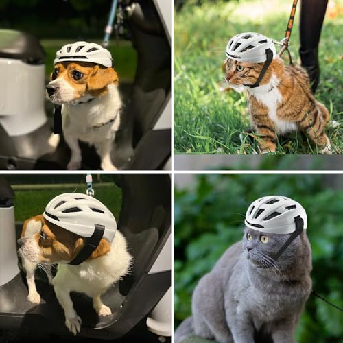 La Mejor review de Casco catlike mixino tabla con los diez mejores. 12 Imagen adicional