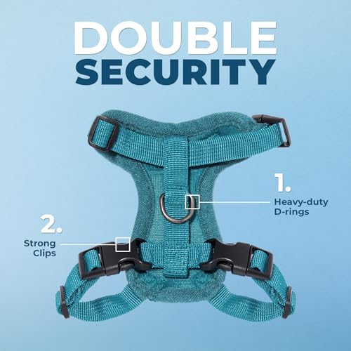 Image of Voyager Escape-Proof Step-in Lock Cat Harness & 5ft Neoprene-Handle Leash Set All-Weather Mesh with Reflective Stitching for Small to Large Cats by Best Pet Supplies, Turquoise, S