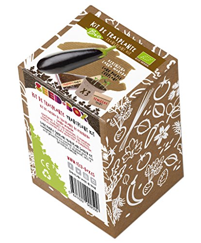SeedBox KTEVHBL Huerto Urbano kit trasplante eco de berenjena larga morada, 0.7x0.7x9 cm