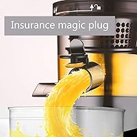 Vista 6 de XUERUIGANG Slow Masticating Juicer Extractor315 Inches Wide Chute Cold Press Juicer for Easy JuiceHigh Juice Yield for Fruit and Vegetable white