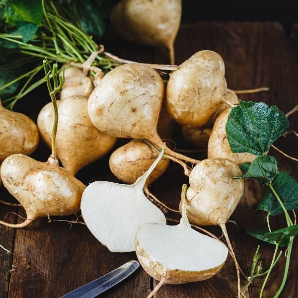 VibeX Jicama-100 Seeds (B0BBG39435) Amazon Price History, Amazon Price Tracker