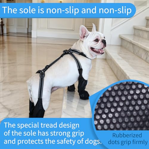 BECROWM wasserdichte Hundestiefel, Hundepfotenschutz für kleine bis mittelgroße Hunde, verstellbare Schuhe für Haustiere zum Gassi gehen, weiche Schuhe für Haustiere, Pfotenschutz (Schwarz, Mittel)