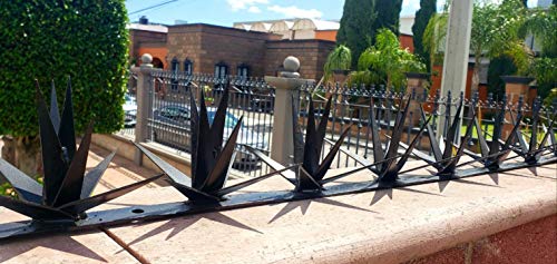 Electricidad, DVD Imagen adicional