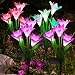 Dolucky Solar Lights Outdoor Garden Decotative Lighting, Color-Changing Solar Garden Stakes Lights, Hummingbird Butterfly Dragonfly for Outdoor Decor,Garden, Pathway, Yard, Lawn, Patio, 3 Pack