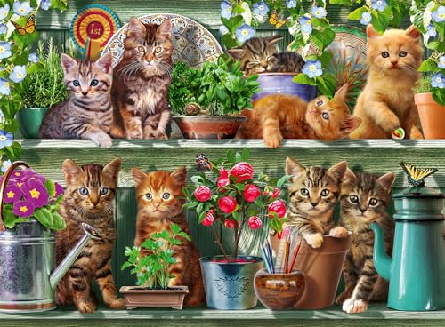 Ravensburger - Puzzle 500 pièces - Chats sur l'étagère