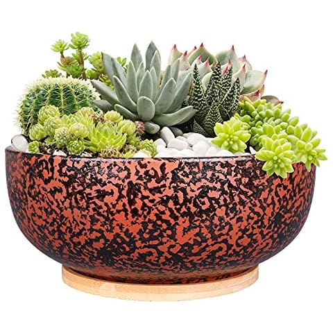 Fivepot 25,4 cm großer Terrakotta-Sukkulenten-Übertopf Cover