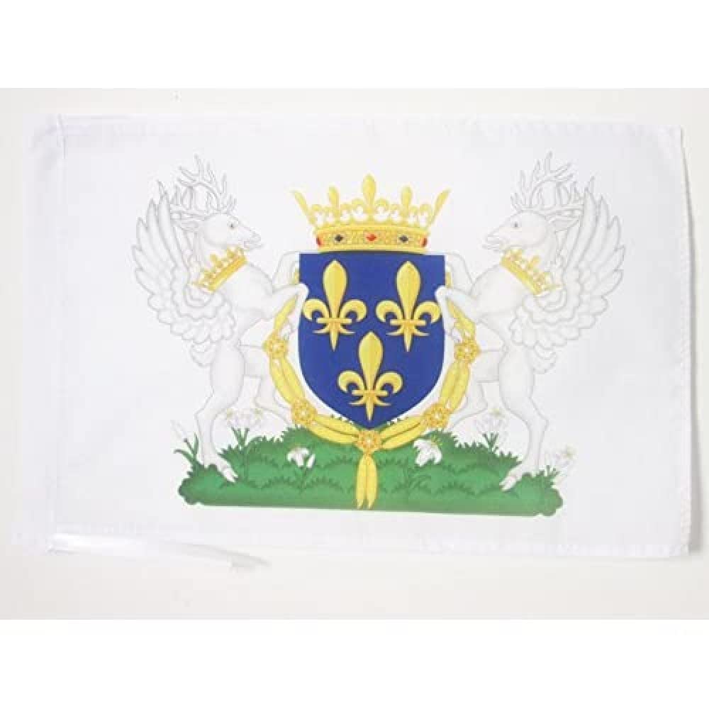AZ FLAG, Charles VI of France Coat of arms Flag, 18'' x 12'', 100% Polyester French Kingdom Small Banner with Two Cords