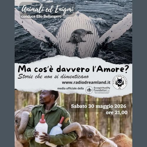 Ma cos'&egrave; davvero l'Amore?