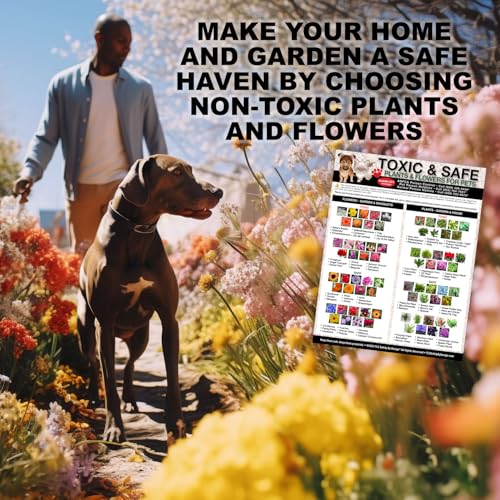 Lista magnética plantas tóxicas para mascotas 8.5x11 pulg miniatura 3