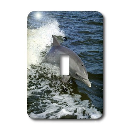 Dolphin n Wave interrupteur simple à baïonnette avec motif imprimé mer