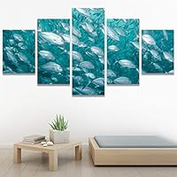 SIGNWIN 5 Panel Canvas Wall Art Group Jellyfish Marine Life Multicolor Photography Realism Tropical Ultra Whimsical for Home Decorations Ready to Hang - 60