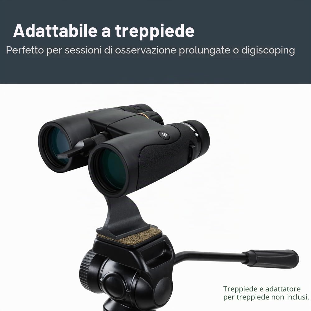 Celestron 72322 Nature DX 8x42 binocoli per esterni e birdwatching, completamente multistrato con prismi BaK-4, rinforzato in gomma, resistente ad acqua e nebbia