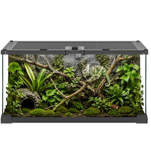 Image of 12 inch x 8 inch x 6 inch Small Glass Reptile Terrarium Tank | Top-Opening Mesh Lid with Latch, Fully Assembled Enclosure for Tarantulas, Frog, Isopods and Small Reptiles