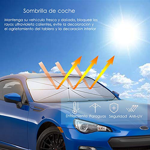 interior, Sports Imagen adicional