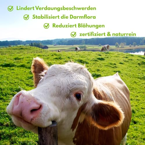 CarboVerte Nutztier-Futterkohle 3,5 kg – Höchste Standards für Futtermittelsicherheit, Bei Verdauungsproblemen & Durchfall bei Rindern, Schweinen, Geflügel - verbesserte Stallhygiene