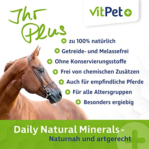 VitPet+ Daily Natural Minerals – Premium Mineralfutter Pferde im 4 kg Eimer inkl. Dosierlöffel – Getreidefrei mit hochwertigen organischen Verbindungen von Zink und Selen
