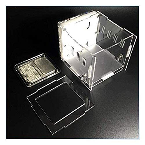 Mini gesso Formicaio Ant Torre Ant Farm Opere