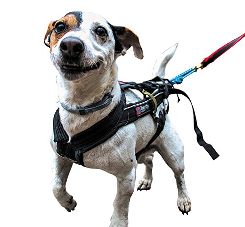 Non-Stop Zuggeschirr FREEMOTION Harness Brustgeschirr schwarz für Hunde Größe 4