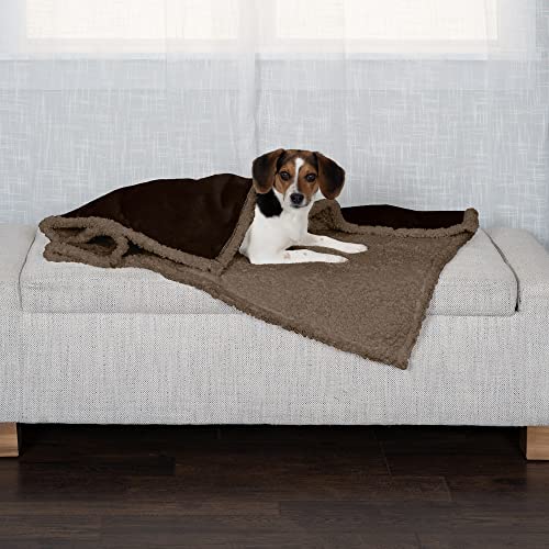 Image of Furhaven Waterproof & Self-Warming Throw Blanket for Dogs & Indoor Cats, Washable & Reflects Body Heat - Soft-Edged Terry & Sherpa Dog Blanket - Espresso, Medium