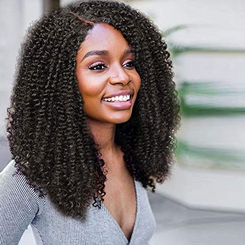 HANNE L Part Lace Front Wig Afro Kinky Curly Wigs Side Part Lace Wig for African American Women (2#)